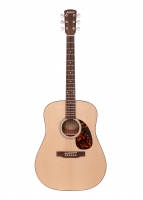 D-02 Premier Series