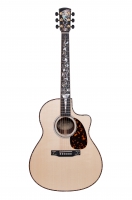 LV-10 Custom - NAMM 2016