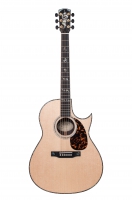 C-10 FLorentine Cutaway