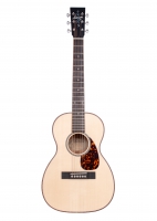 T-40GR Silver Oak - NAMM 2019