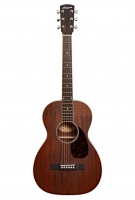 P-03WW Peruvian Walnut